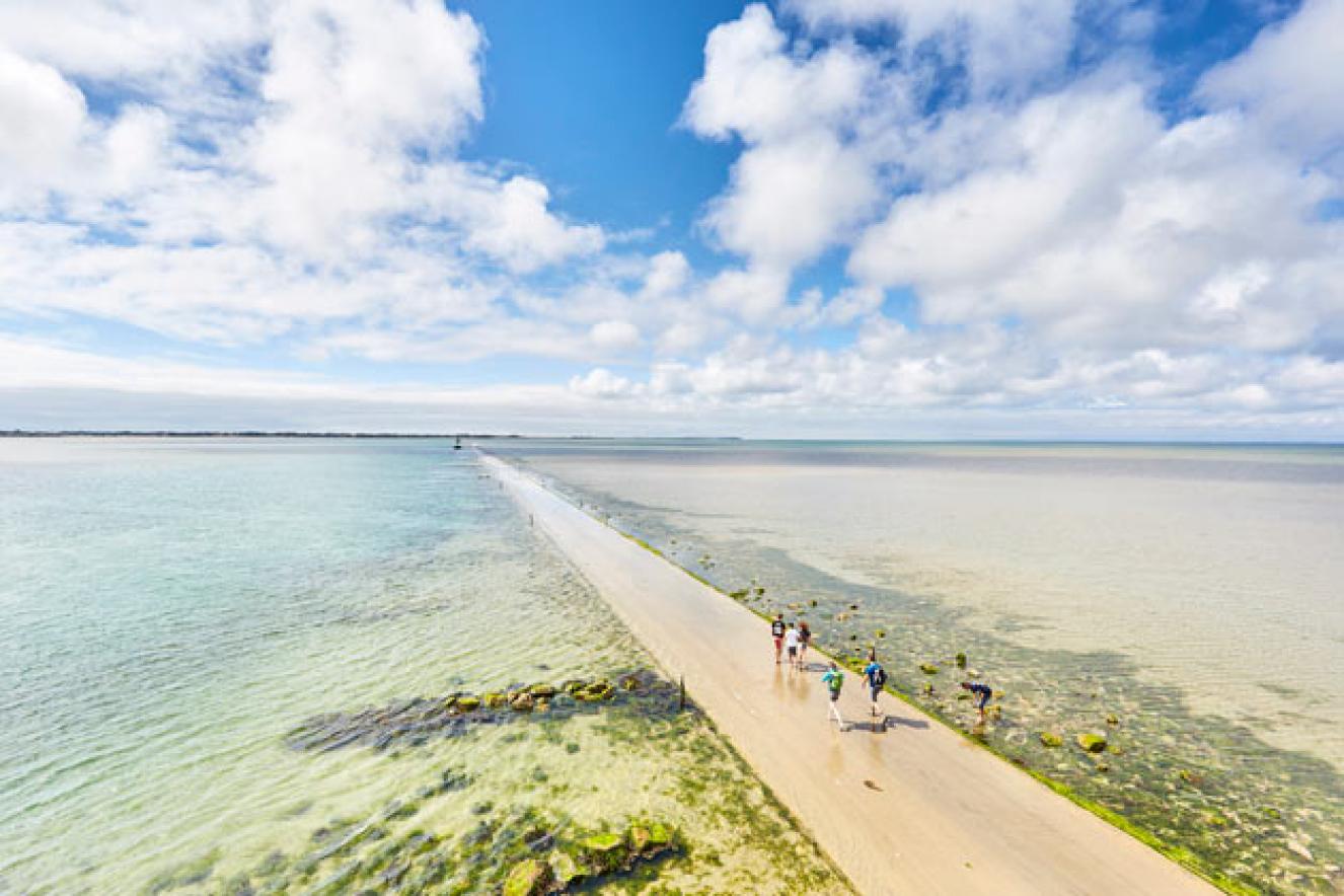 Image montrant le passage du Gois de l'île de Noirmoutier