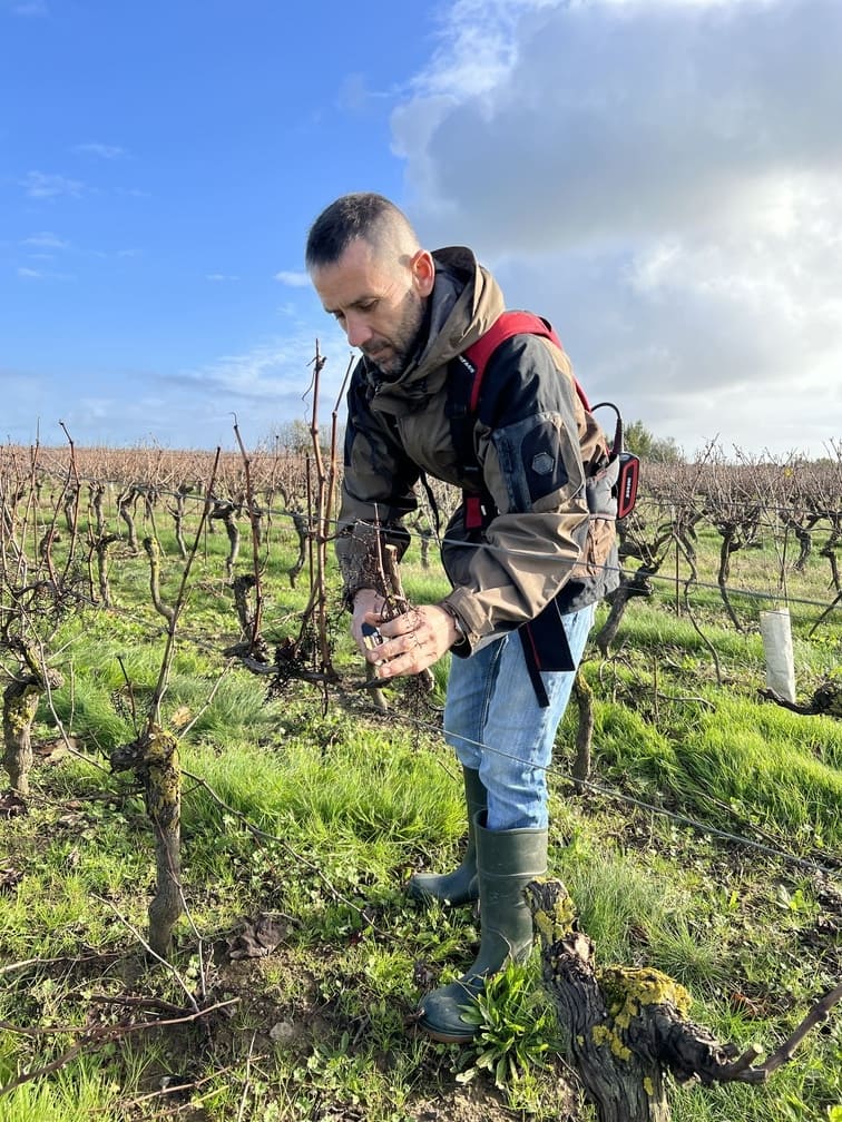 Jacques, salarié au Vignoble Epiard